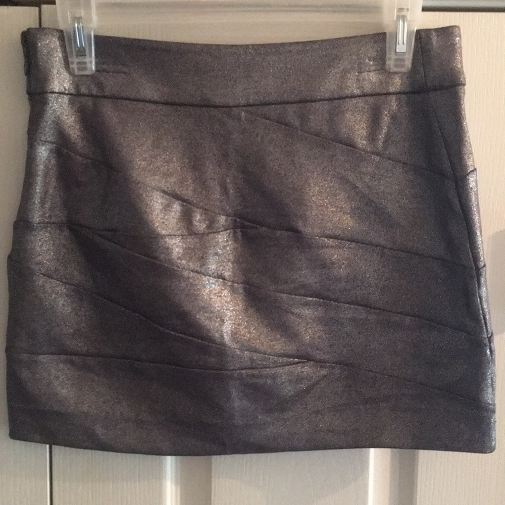 Silver Skirt